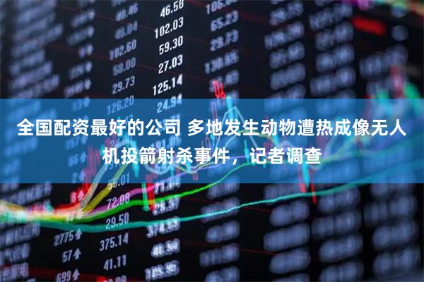 全国配资最好的公司 多地发生动物遭热成像无人机投箭射杀事件，记者调查